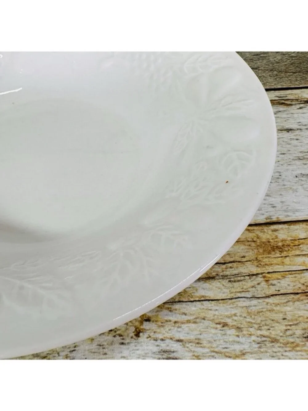 Gibson FRUIT Embossed Fruit Leaves White Shades Rim Coupe Soup Bowls Set of 4
